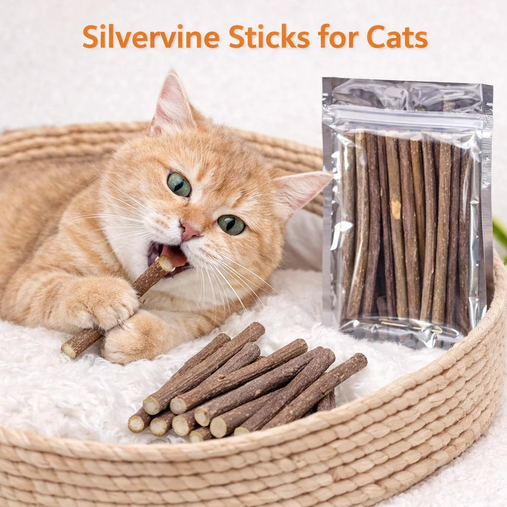 Natural Silvervine Sticks Catnip Chew Teeth Cleaning Dental Molar Cat Toy Set