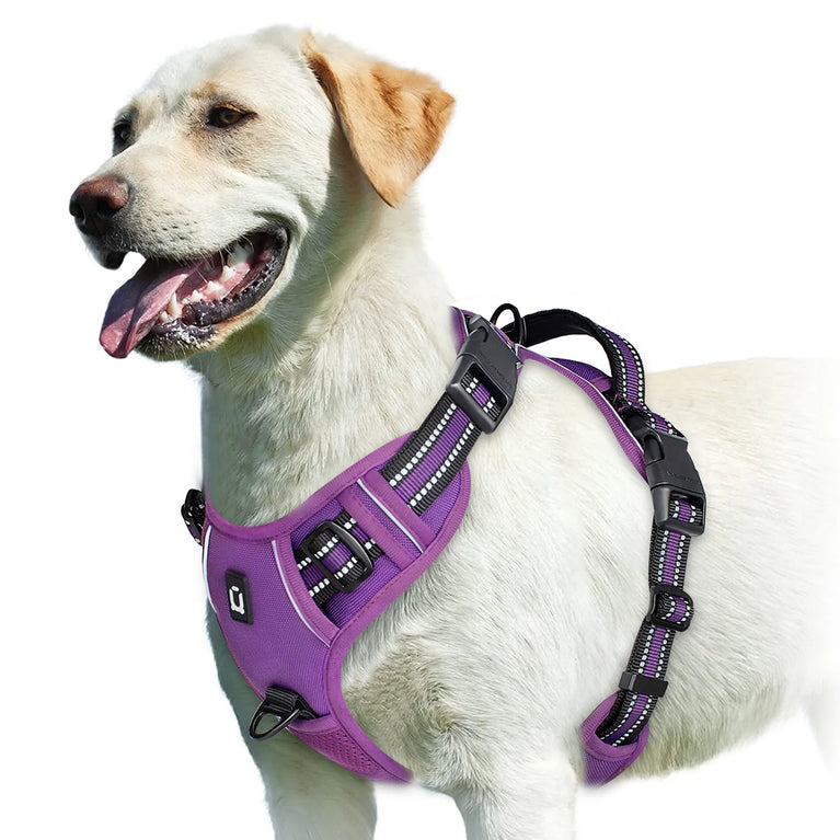 No Pull Adjustable Soft Padded Dog Harness Vest With Control Handle