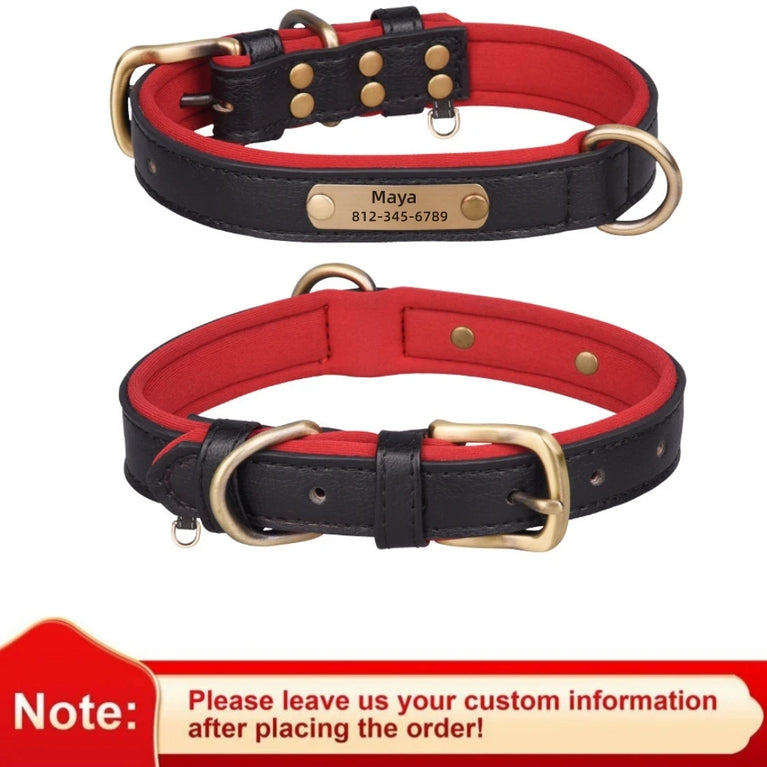 Personalized Leather Dog Collar | Padded ID Nameplate Collar