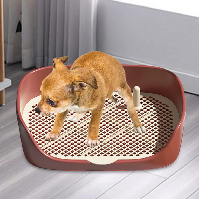 Pet Dog Toilet Potty Pan Trainer Anti Splash Puppy Cleaning Tool