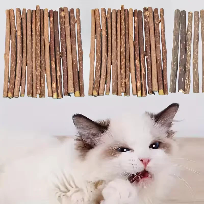 Cat Snack Polygonum Natural Wood Chew Stick Cat Teeth Cleaning Toy Set