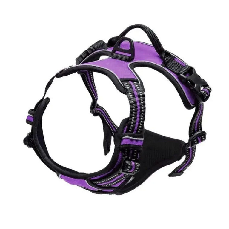 Dog Collars Harness Vest Leash Set for Small Medium Dogs Puppy Pet Set Leather Set