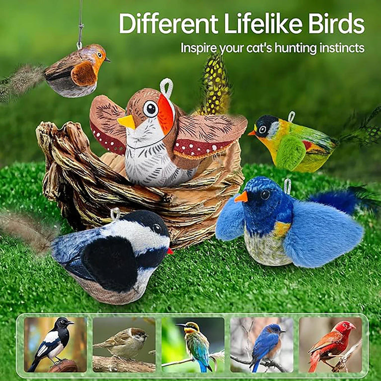 Interactive Bird Cat Toy with Chirping Sound & Self Play Fun