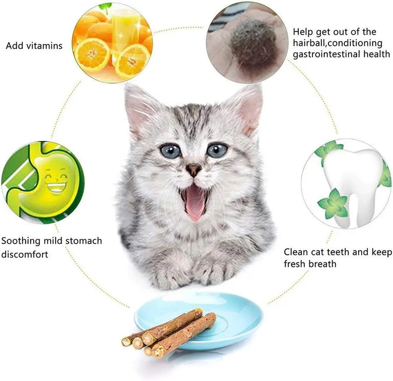 Natural Silvervine Sticks Catnip Chew Teeth Cleaning Dental Molar Cat Toy Set