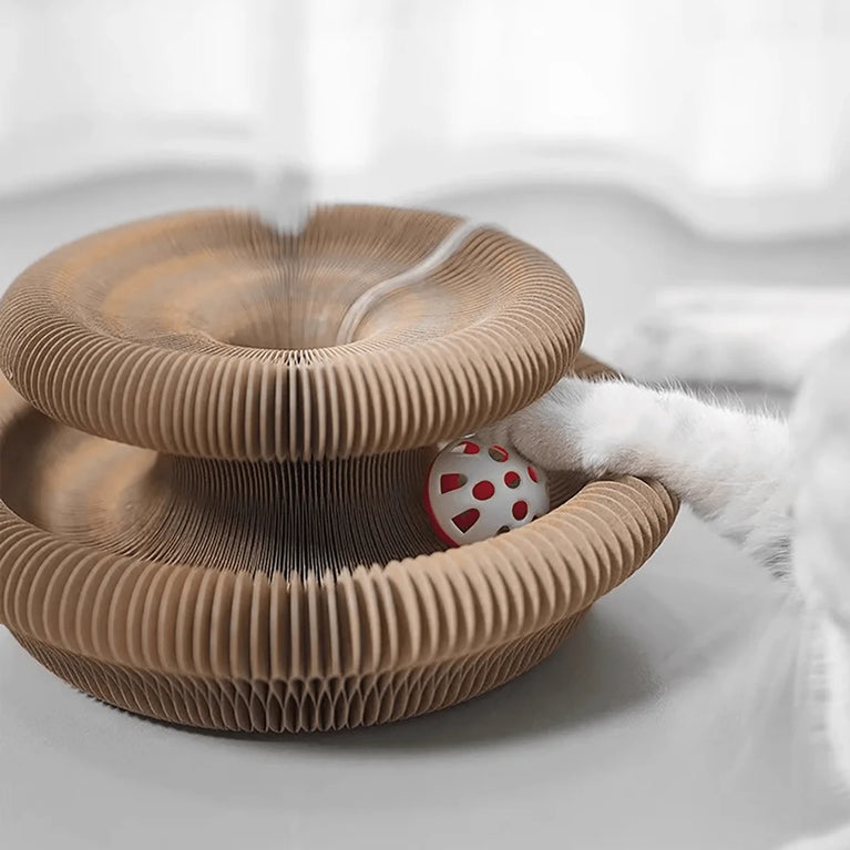 Foldable Cat Scratcher with Bell & Catnip Multi Level Toy Kit