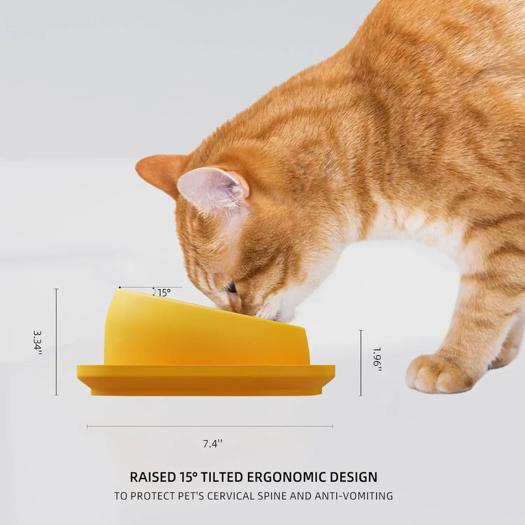 15° Tilted Raised Cat Feeder with Stainless Bowl Anti Slip Base