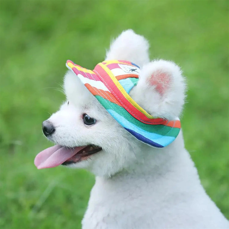 Dog Outdoor Baseball Cap | Breathable Mesh Sun Visor Hat