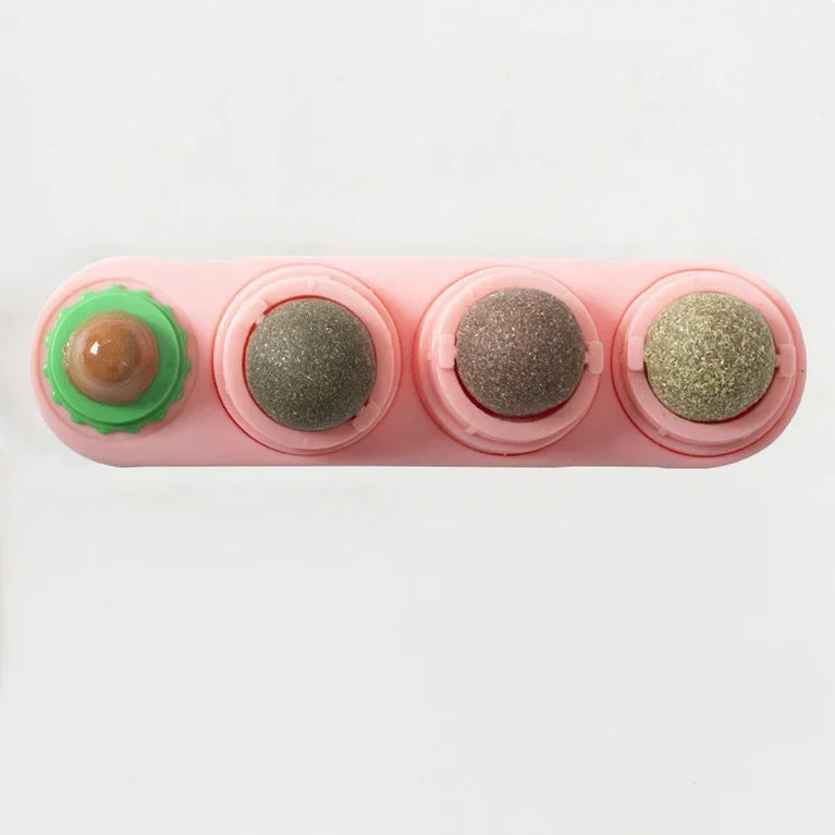 4 in 1 Rotating Catnip Silver Vine Ball Wall Stick Toy Kit