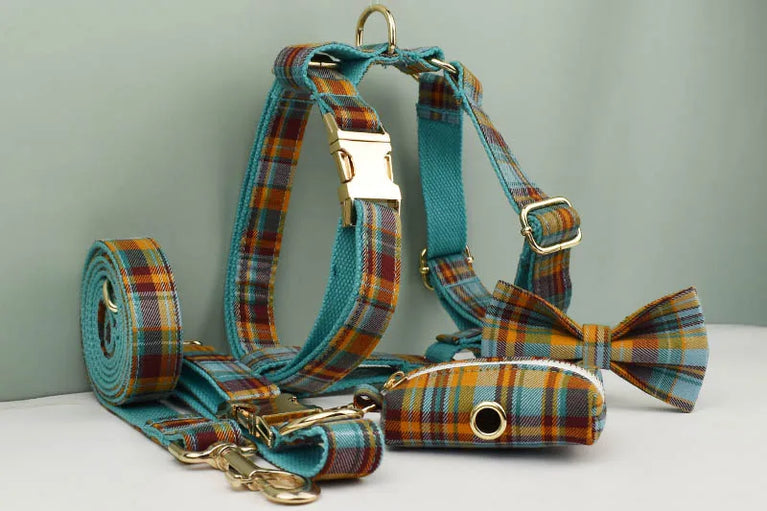 High Quality Personalized Dog Collar Leash Set Quick Release XS XL