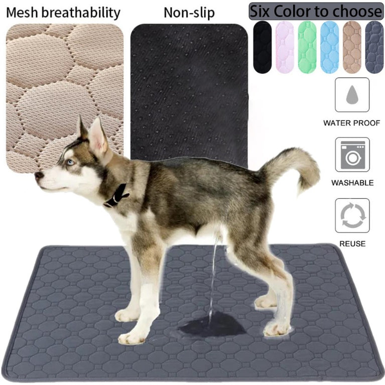 Washable Reusable Dog Pee Pad | 4-Layer Ultra Absorbent Mat