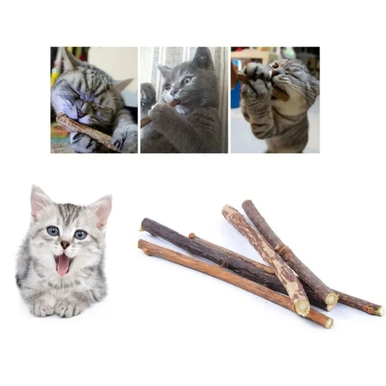 Natural Silvervine Sticks Catnip Chew Teeth Cleaning Dental Molar Cat Toy Set