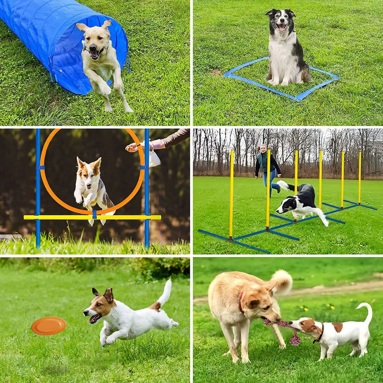 Dog Agility Training Set | Adjustable Hurdle & Jumping Bar