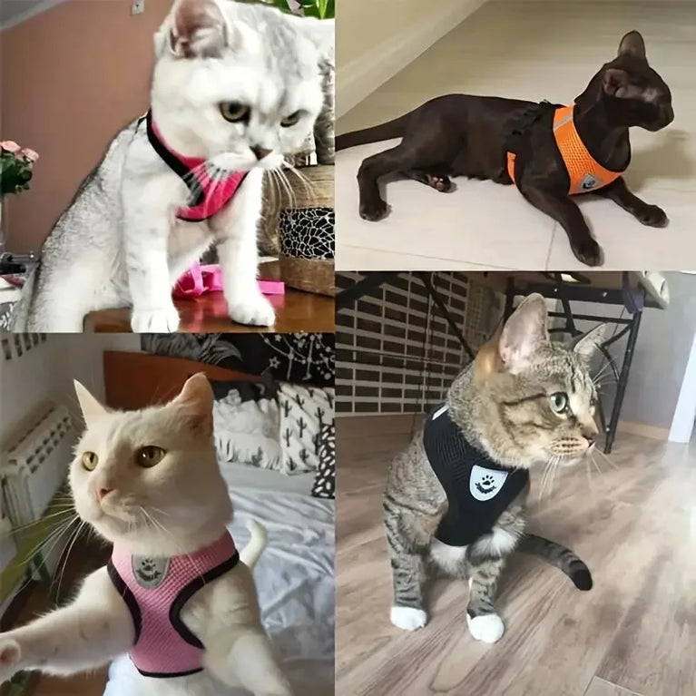 Breathable Mesh Cat Small Dog Harness And Leash Kitten Puppy Adjustable Vest Set