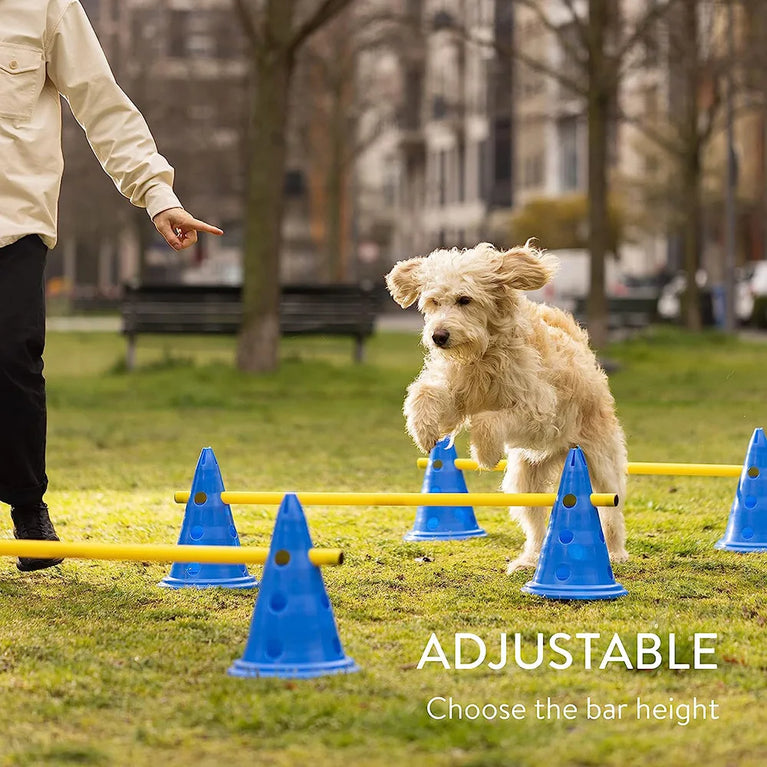 Dog Agility Training Set | Adjustable Hurdle & Jumping Bar