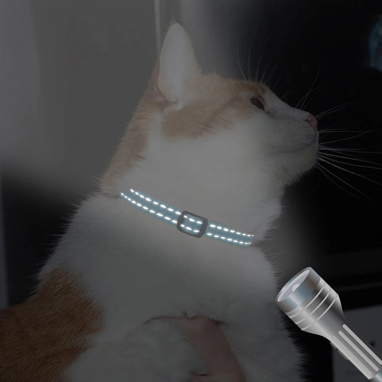 Cat Collar Free Personalized Kitten Collar Engraved Antilost Adjustabl