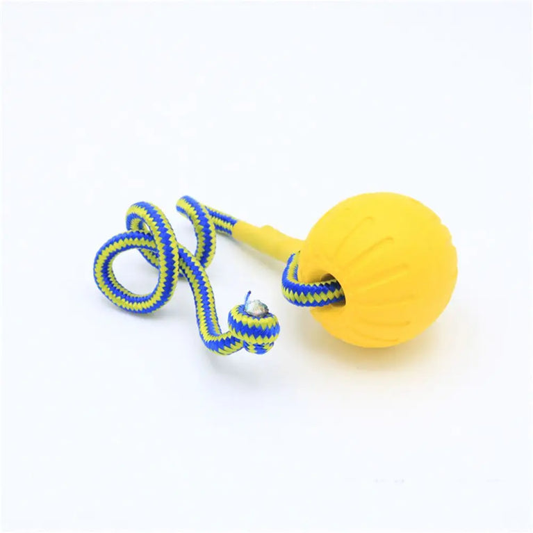Indestructible Rubber Ball Dog Toy for Fetch Chew Training Play