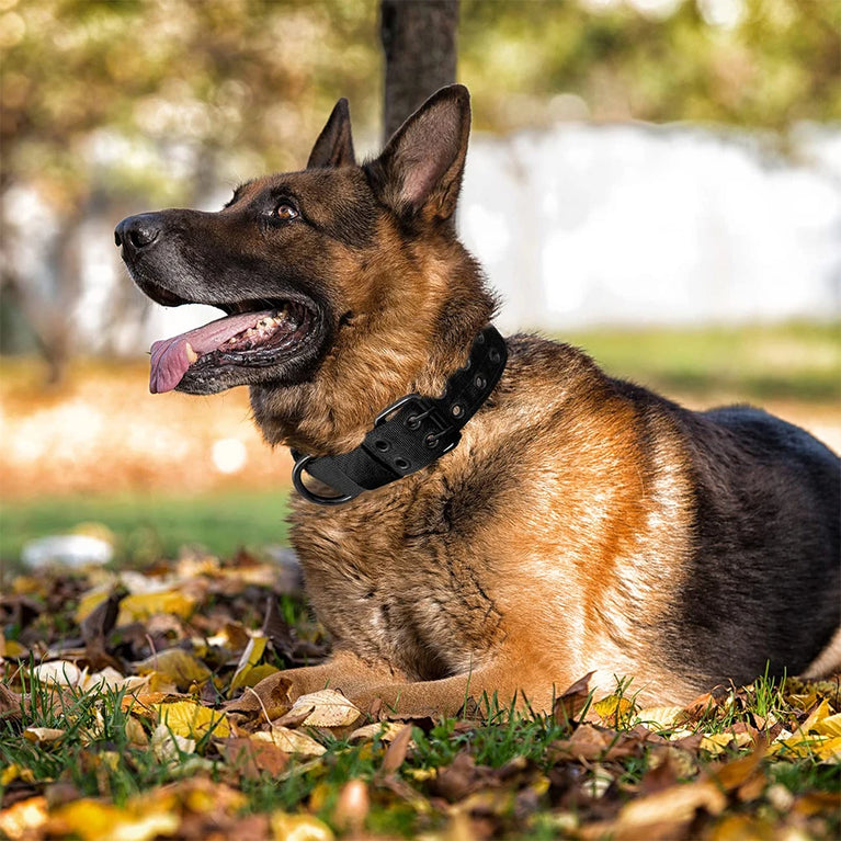 Comfortable Military Tactical Dog Collars Nylon Buckle Set Adjustable