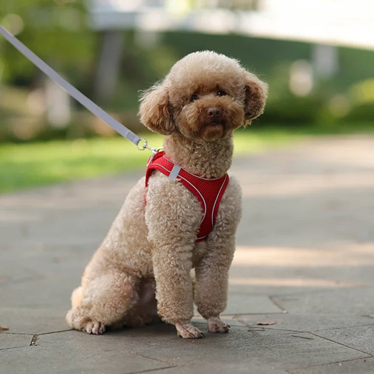 Puppy Dog Harness Set Reflective Adjustable Small Pet Vest With Leash