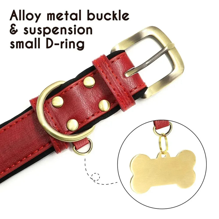 Personalized Leather Dog Collar | Padded ID Nameplate Collar