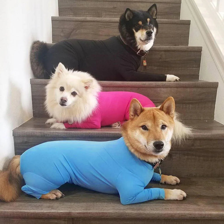 Solid Polyester Dog Accessory | Durable All-Weather Comfort