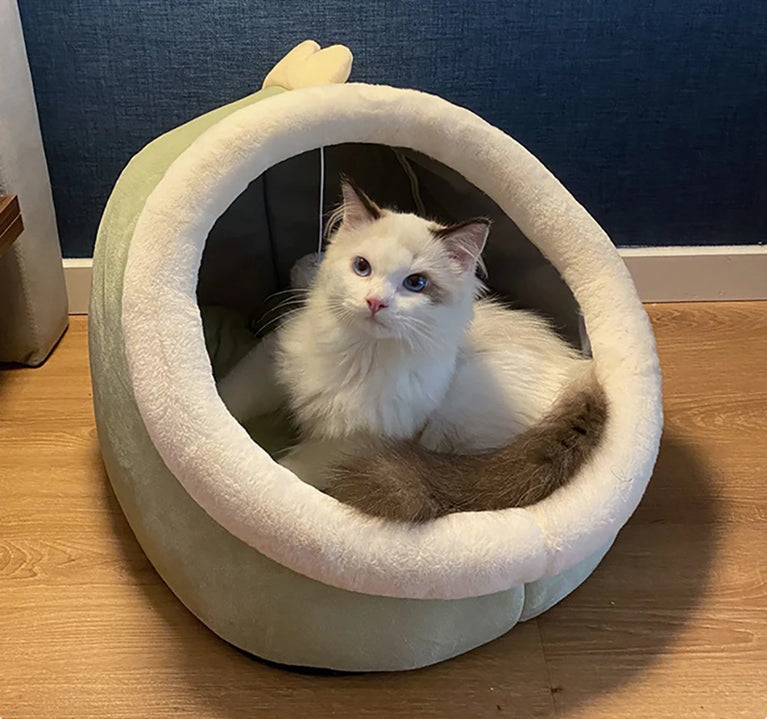 Deep Sleep Cat Cartoon Bed Cotton Cave Soft Foldable Washable Pet Bed House