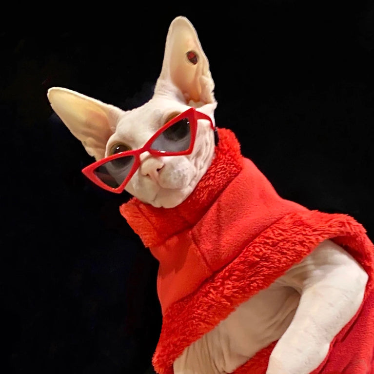 Sphynx Sunglasses | Windproof Pet Fashion Goggles