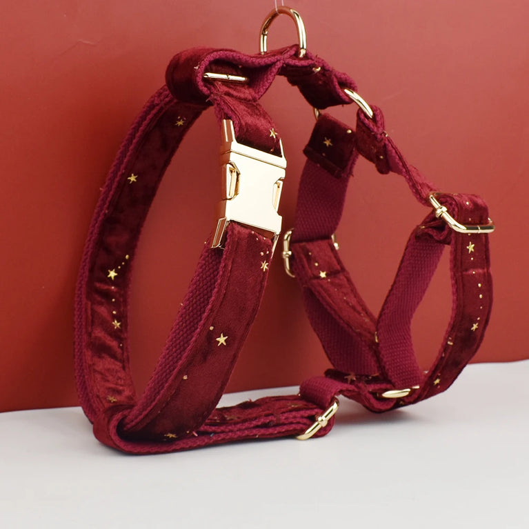 Luxury Fashion Dog Collar Leashes Harness Bow Set