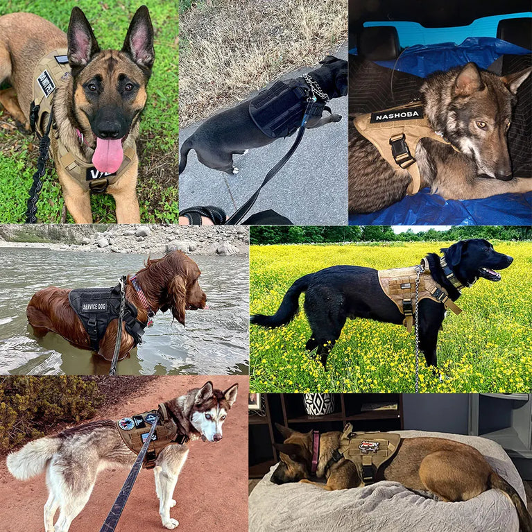 Military Tactical Dog Harness Adjustable Heavy Duty Training Vest For Large Dogs
