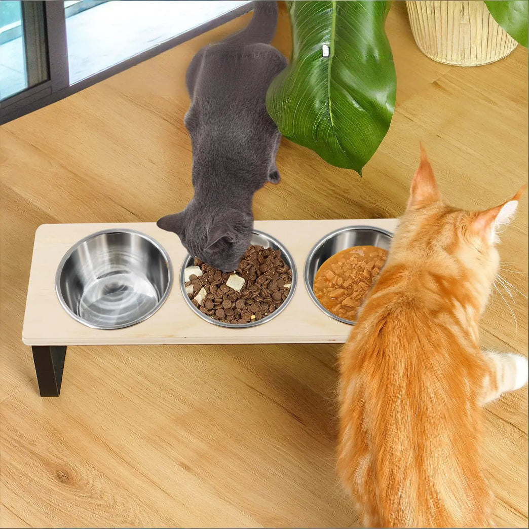 15° Tilted Raised Cat Feeding Station with 3 Steel Bowls Set