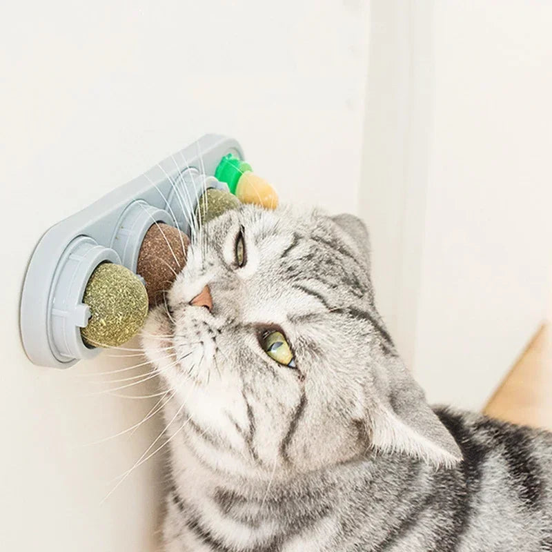 4 in 1 Rotating Catnip Silver Vine Ball Wall Stick Toy Kit