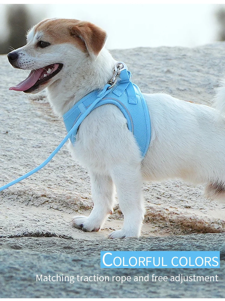 Adjustable Reflective Dog Harness Leash Set Step-In Soft Air Mesh Vest