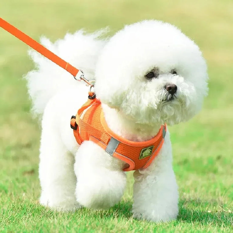 Reflective Breathable Mesh Puppy Dog Harness And Leash Set No Pull Vest