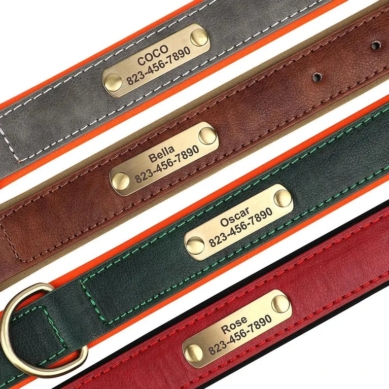 Personalized Leather Dog Collar | Padded ID Nameplate Collar