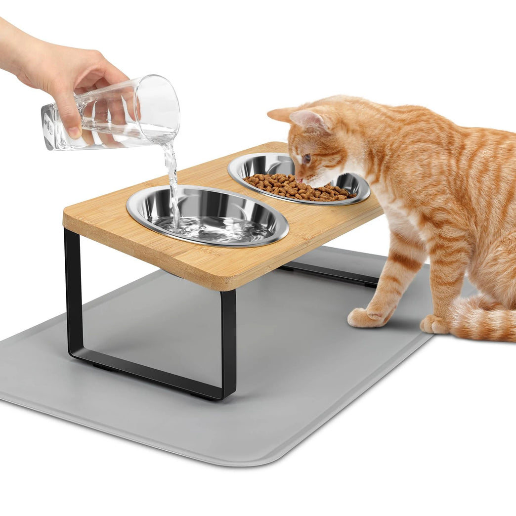 15° Tilted Raised Cat Bowls with Wooden Stand and 3 Steel Dishes