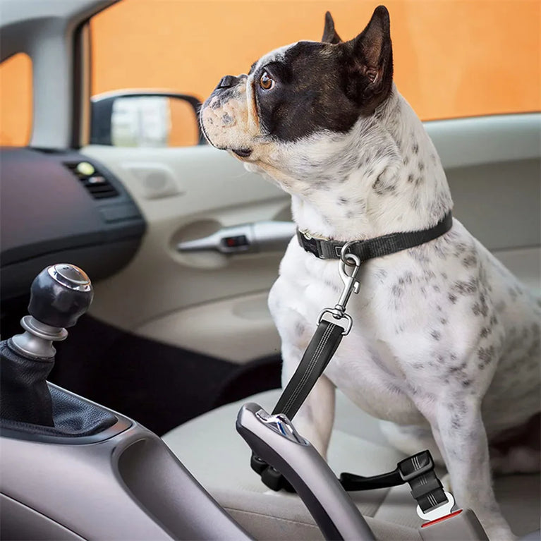 Adjustable Reflective Dog Car Seat Belt Harness With Lights Safety Travel Belt
