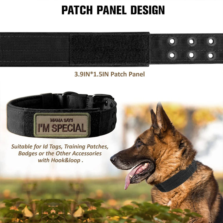 Comfortable Military Tactical Dog Collars Nylon Buckle Set Adjustable