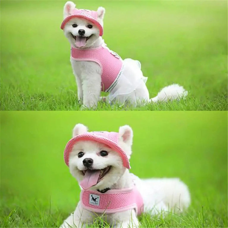 Dog Outdoor Baseball Cap | Breathable Mesh Sun Visor Hat