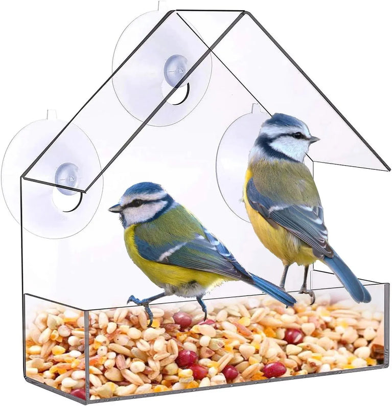 Clear Acrylic Window Bird Feeder | Transparent Wall-Mounted Wildlife Station