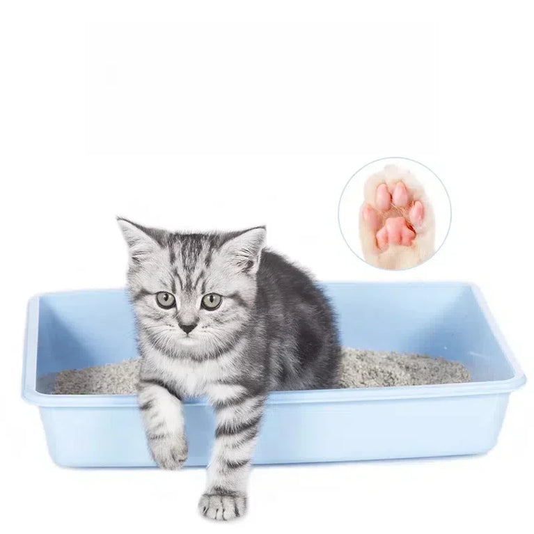Tofu & Bentonite Mixed Cat Litter | High-Performance Odor Control