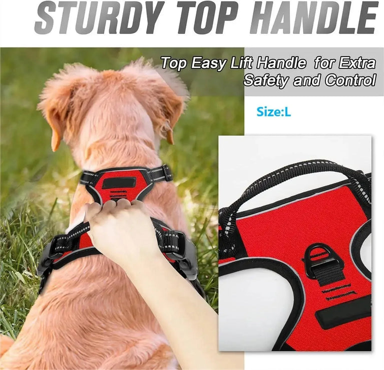 Dog Collars Harness Vest Leash Set for Small Medium Dogs Puppy Pet Set Leather Set