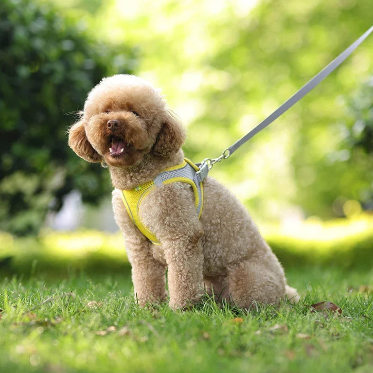 Puppy Dog Harness Set Reflective Adjustable Small Pet Vest With Leash