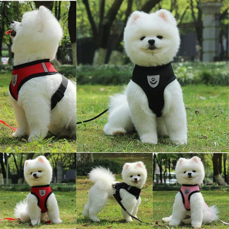 Breathable Mesh Cat Small Dog Harness And Leash Kitten Puppy Adjustable Vest Set