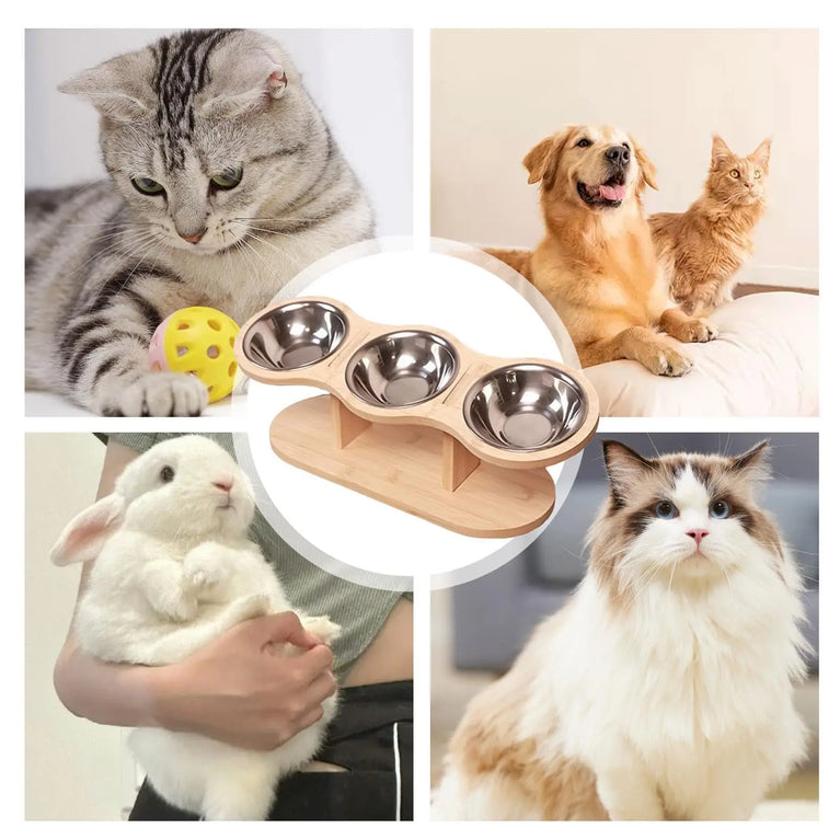 15° Tilted Raised Cat Bowls with Wooden Stand and 3 Steel Dishes