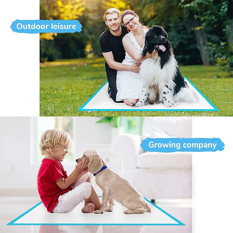 Super Absorbent Pet Diaper Dog Training Pee Pads Quick-dry Mat